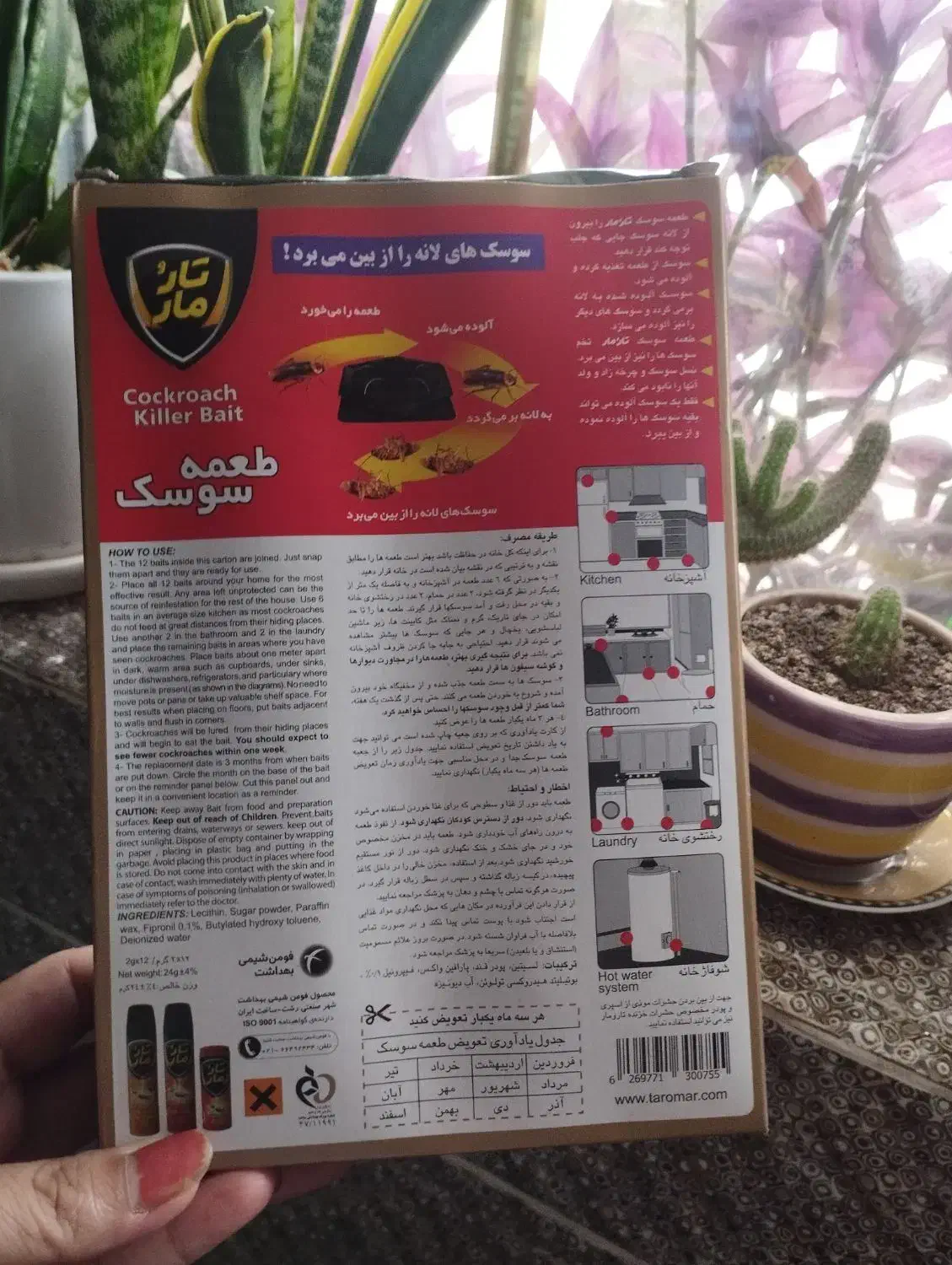 طعمه سوسک کش ۱۲عدد|لوازم نظافت|رشت, پیرکلاچای|دیوار