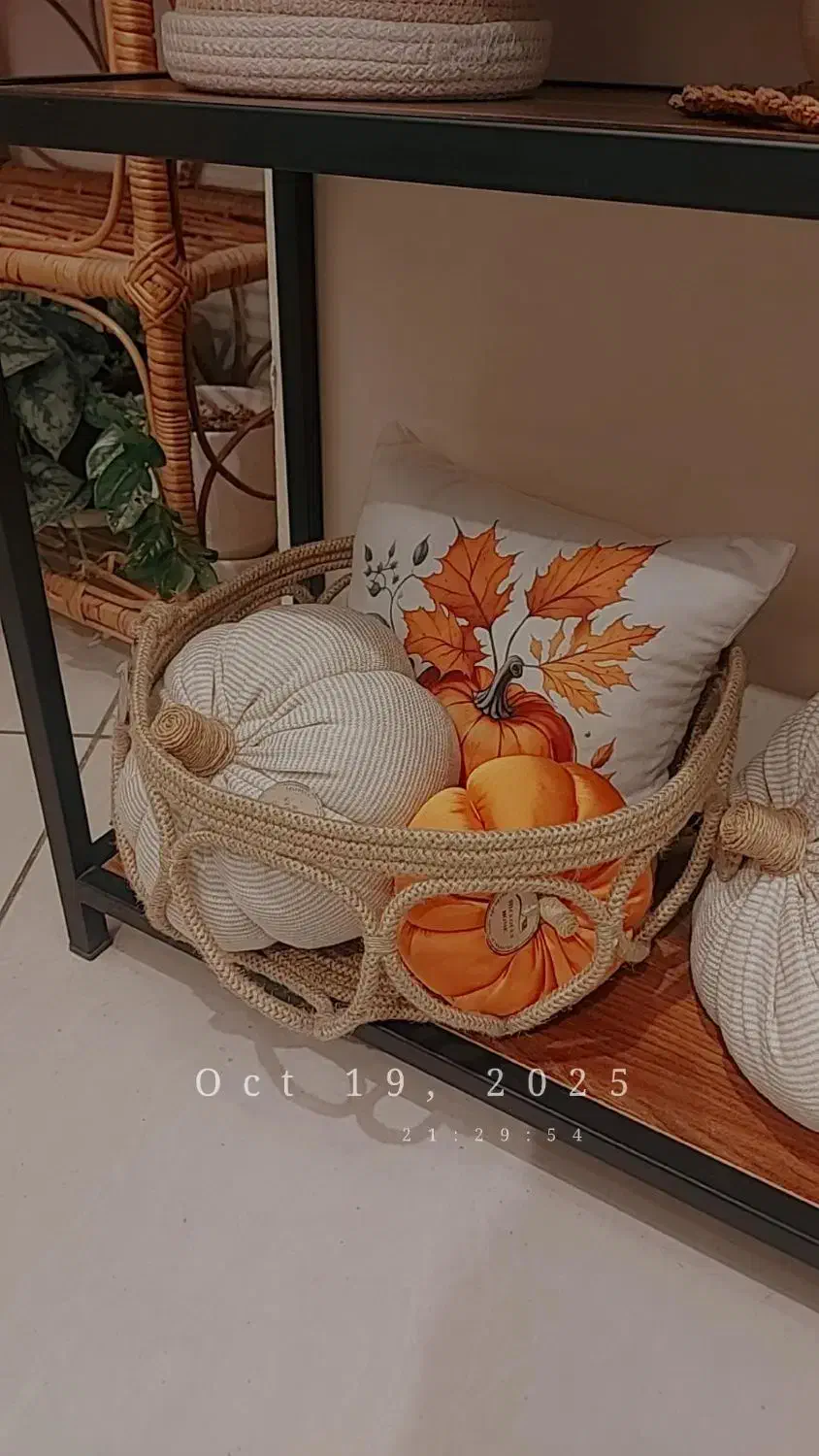 فروش ویژه محصولات پاییزی|صنایع دستی و سایر لوازم تزئینی|شاهینشهر, خانه کارگر|دیوار