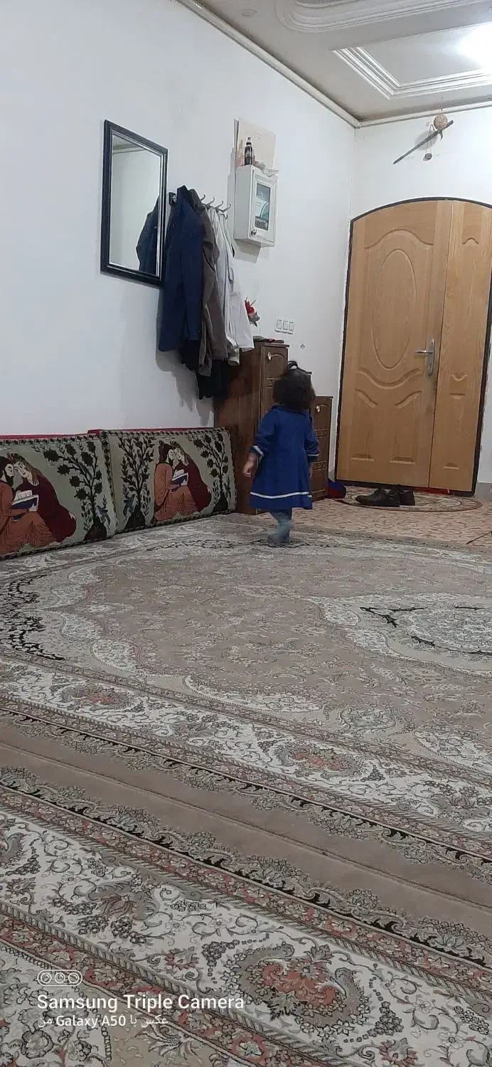 فرش ۱۲متری|فرش|قائن, |دیوار