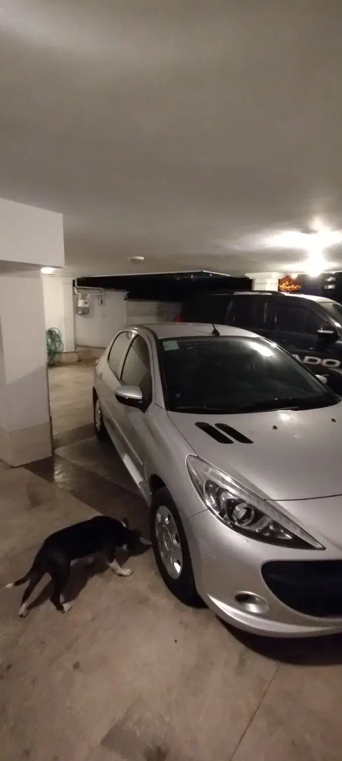 پژو ۲۰۷|خودرو سواری و وانت|تهران, اوین|دیوار