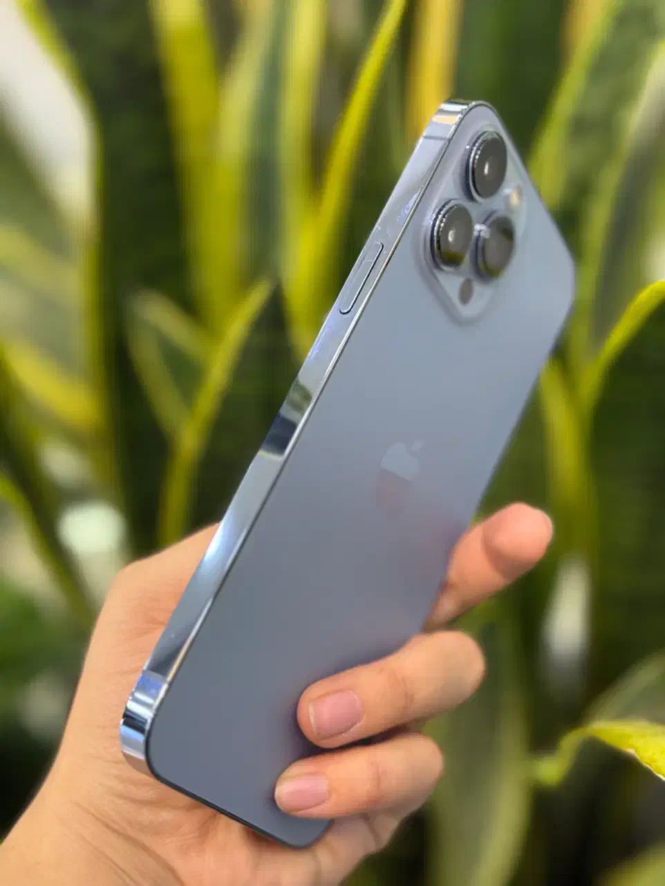 ایفون ۱۳ پرومکس رنگ آبی دلفینی بدون پیش پرداخت|موبایل|اصفهان, احمدآباد|دیوار