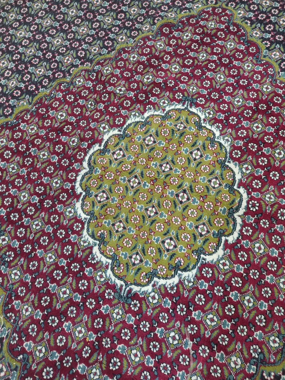 فرش12متره|فرش|اردبیل, |دیوار