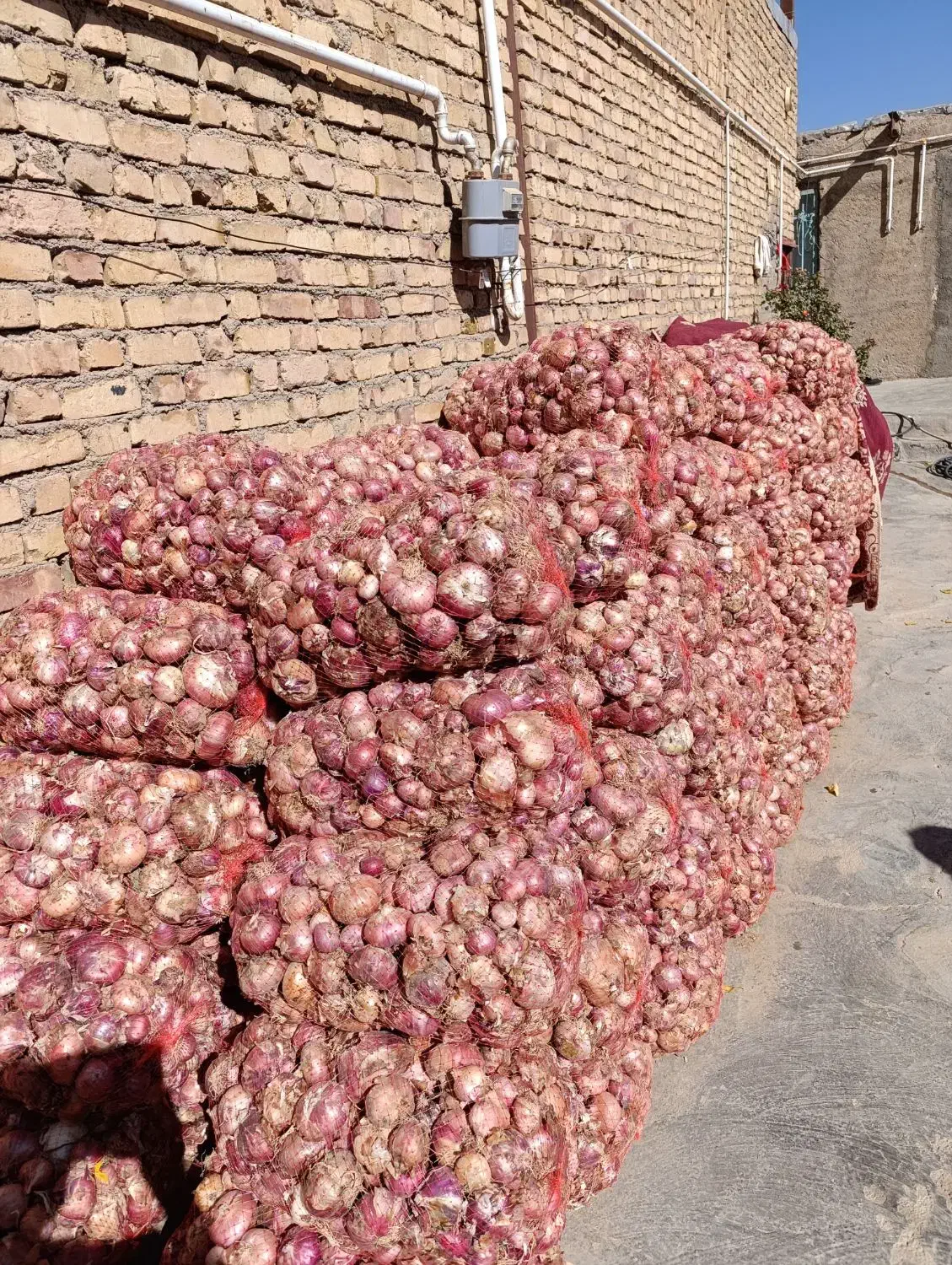 فروش پیاز محلی|عمدهفروشی|قیدار, |دیوار