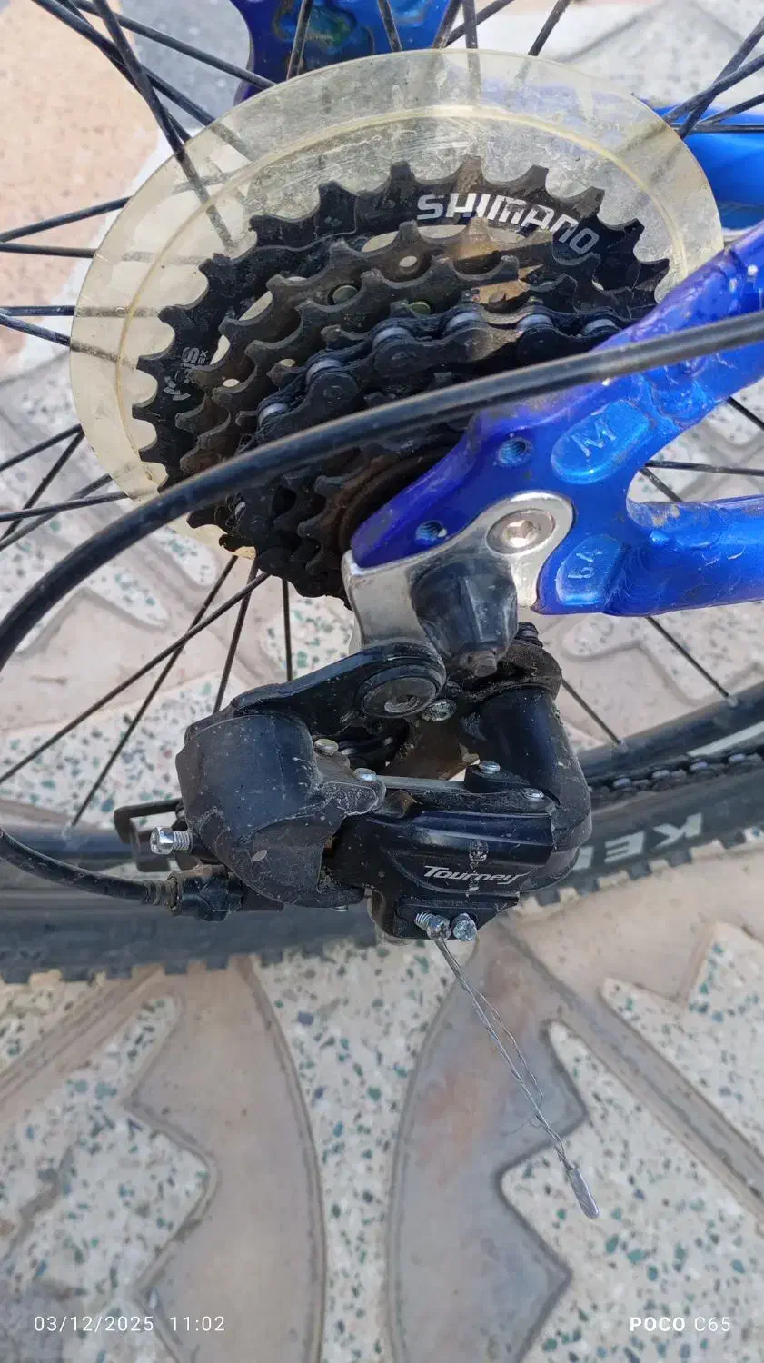 دوچرخه|دوچرخه، اسکیت، اسکوتر|خزل, |دیوار