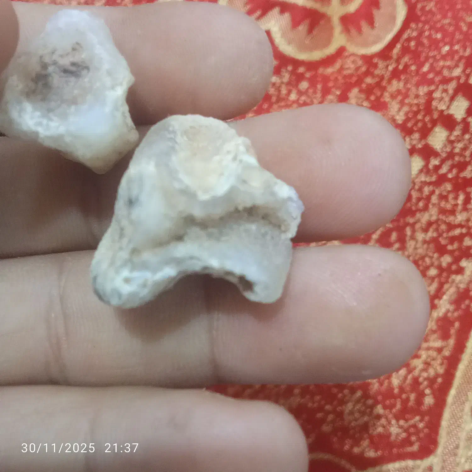 سنگ ا|جواهرات|زهک, |دیوار