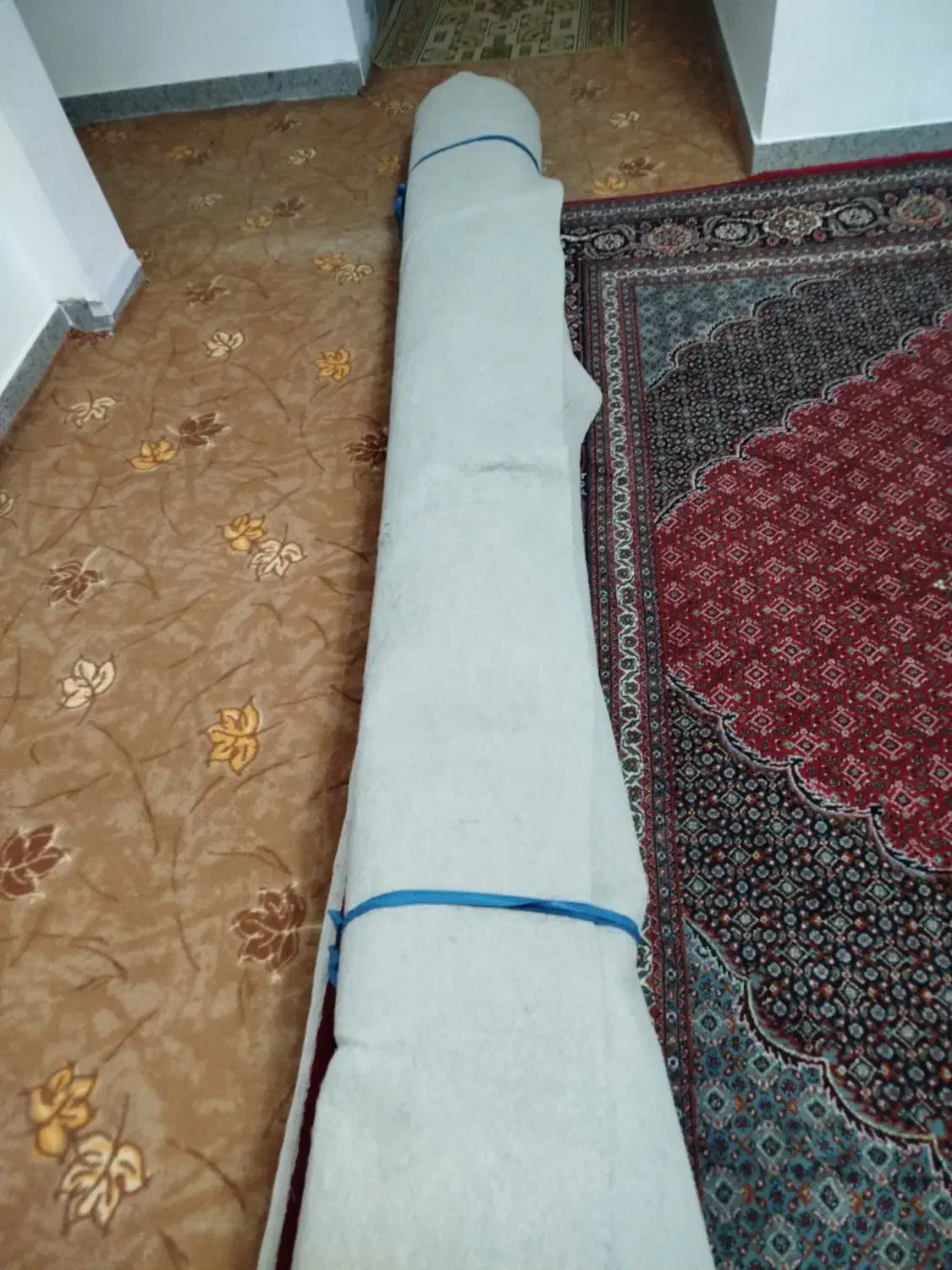 مکت رنگ فیلی|موکت|سرشیو, |دیوار