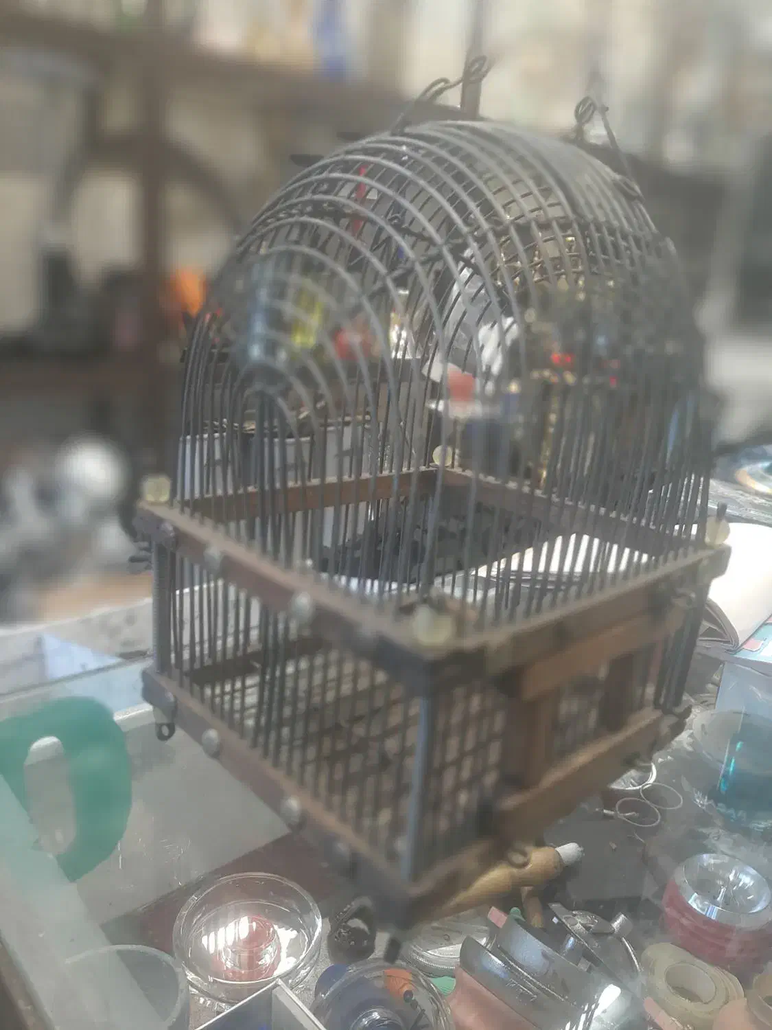 قفس قدیمی|لوازم جانبی حیوانات|تهران, قیطریه|دیوار