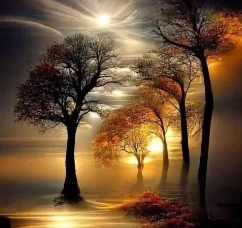 آدمین حرفه ای برای پیج اینستاگرام 50k|استخدام بازاریابی و فروش|رودسر, |دیوار