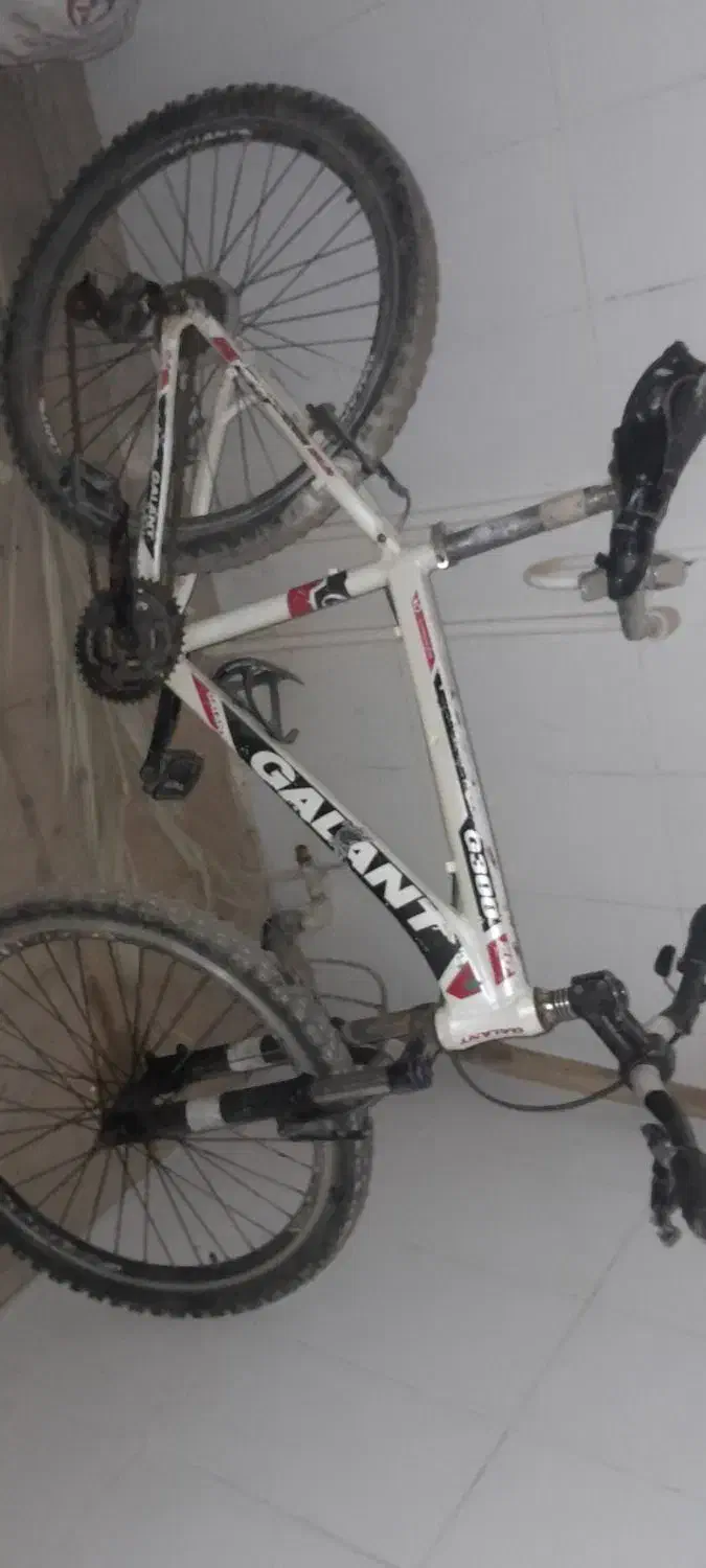 دوچرخه ۲۴ تمیز|دوچرخه، اسکیت، اسکوتر|حمیدیه, |دیوار