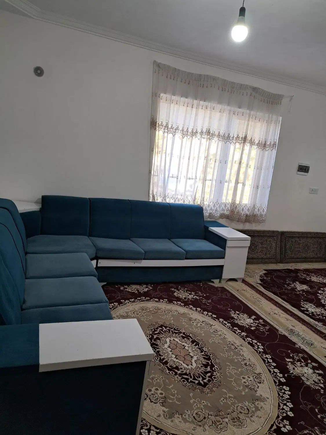 فروش باغ میوه در چایان|فروش خانه و ویلا|بهار, |دیوار