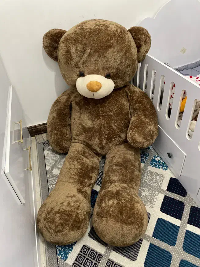 عروسک|اسباب‌بازی بچه|گناباد, |دیوار