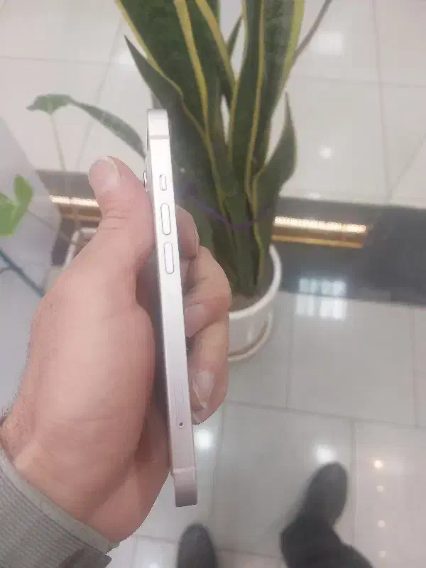 ایفون ۱۳|موبایل|تبریز, |دیوار