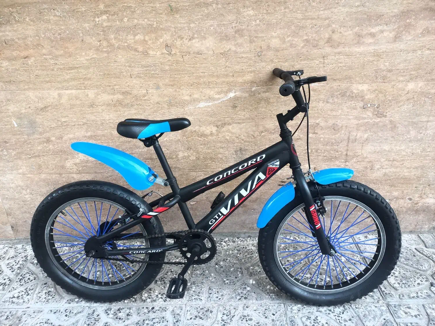 دوچرخه ویوا لاستیک پهن ساحلی سایز۲۰|دوچرخه، اسکیت، اسکوتر|مشهد, شفا|دیوار