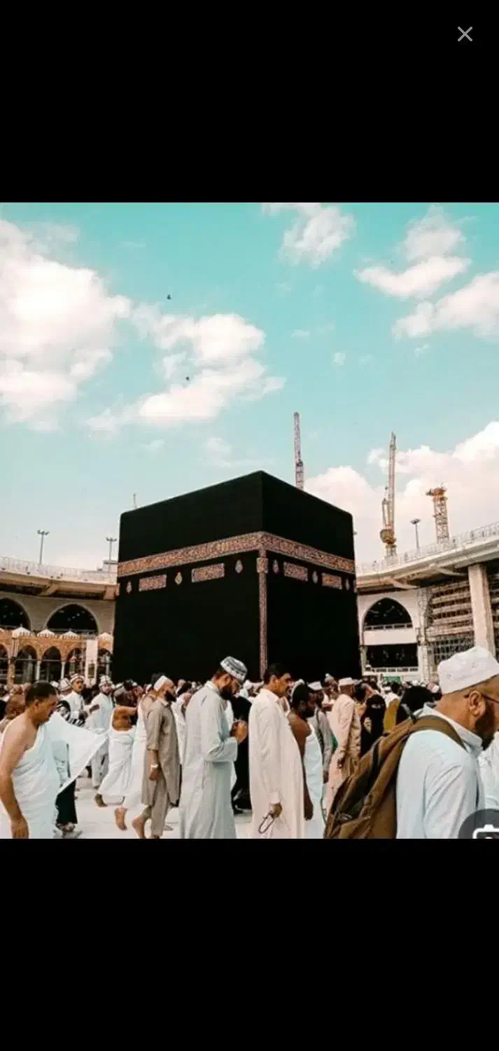 فیش حج|تور و چارتر|آبیک, |دیوار