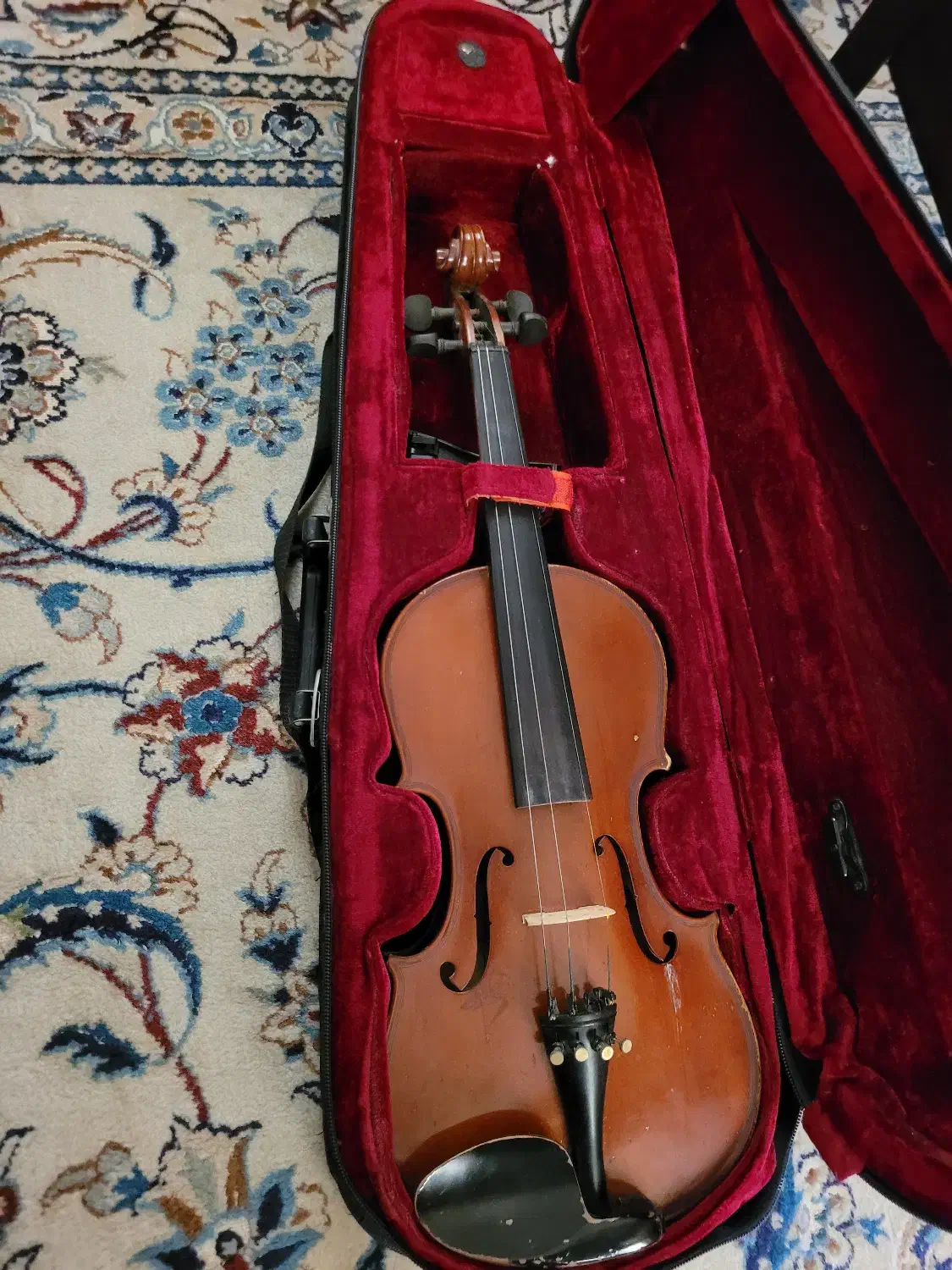 ویولن هافنر AS-040 سایز 4/4|ویولن|گنبد کاووس, |دیوار