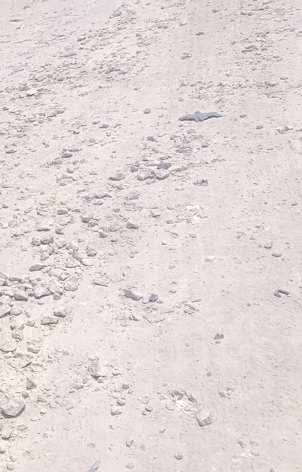 فروش زمین 150متر|فروش زمین و ملک کلنگی|بندرلنگه, |دیوار