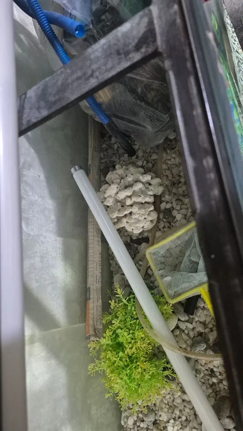 آکواریوم ۱۱۰در ۵۰ در ۴۰|ماهی|زنجان, |دیوار