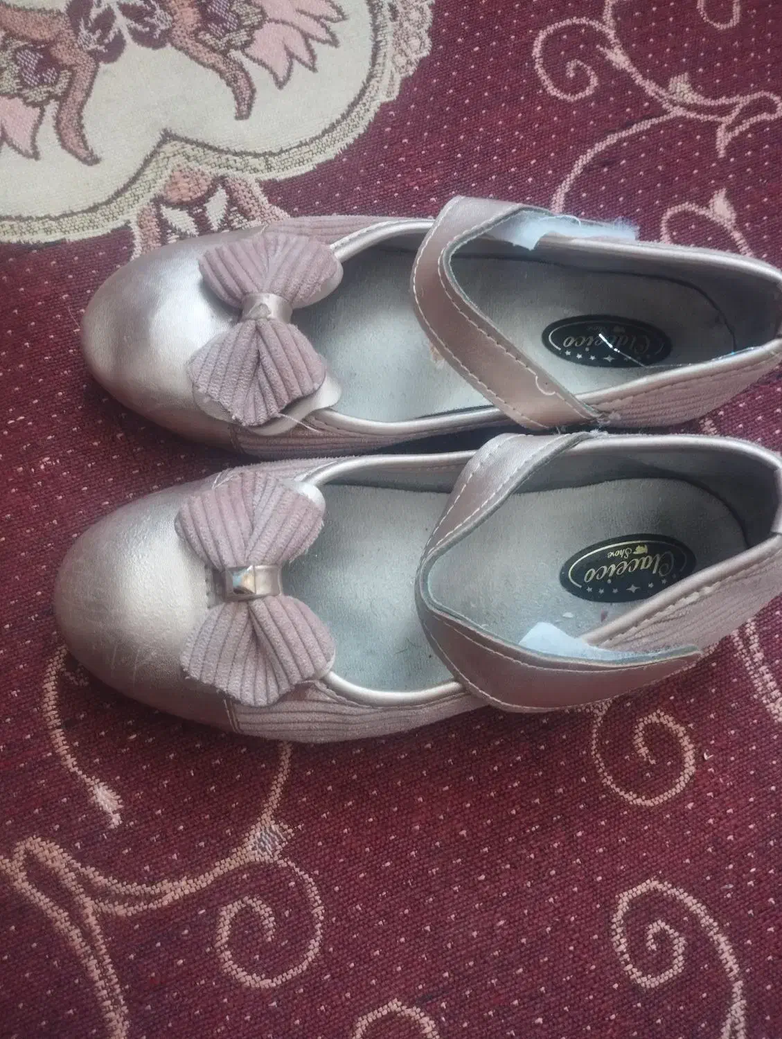 کفش|کیف، کفش، کمربند|کرمان, |دیوار