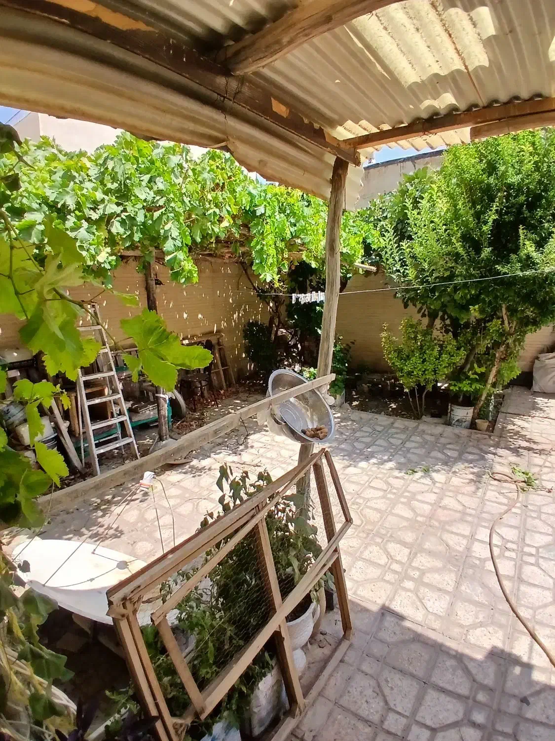 بنیاد ازدواج / ویلایی جنوبی / ۲۵۳ متر / ۳ خواب|فروش خانه و ویلا|شاهین‌شهر, بنیاد ازدواج|دیوار