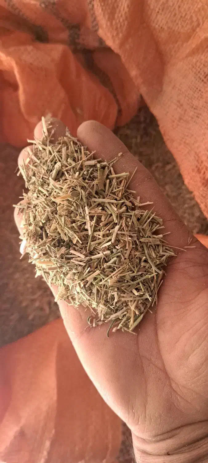 کاه خار|عمدهفروشی|هیرمند, |دیوار