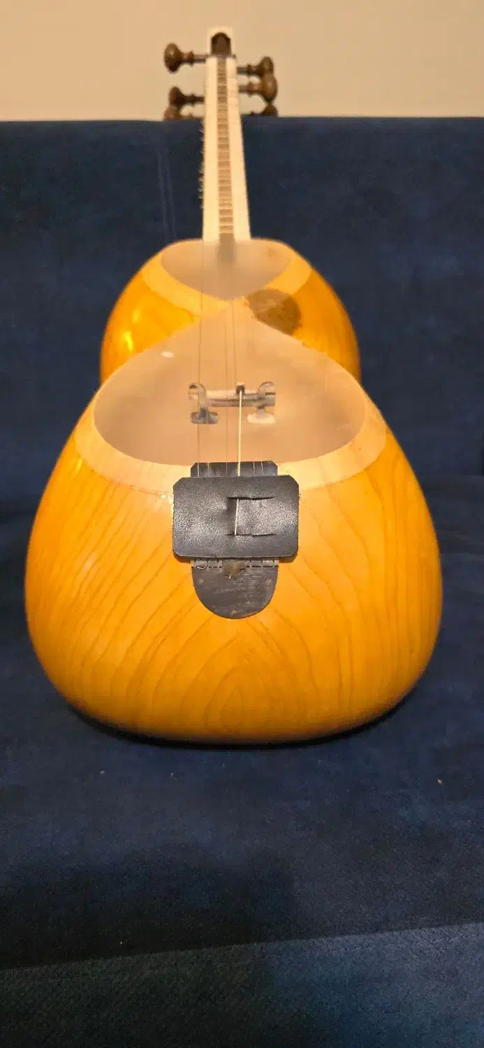 تار چهار گل|سازهای سنتی|تهران, فلسطین (میدان انقلاب)|دیوار