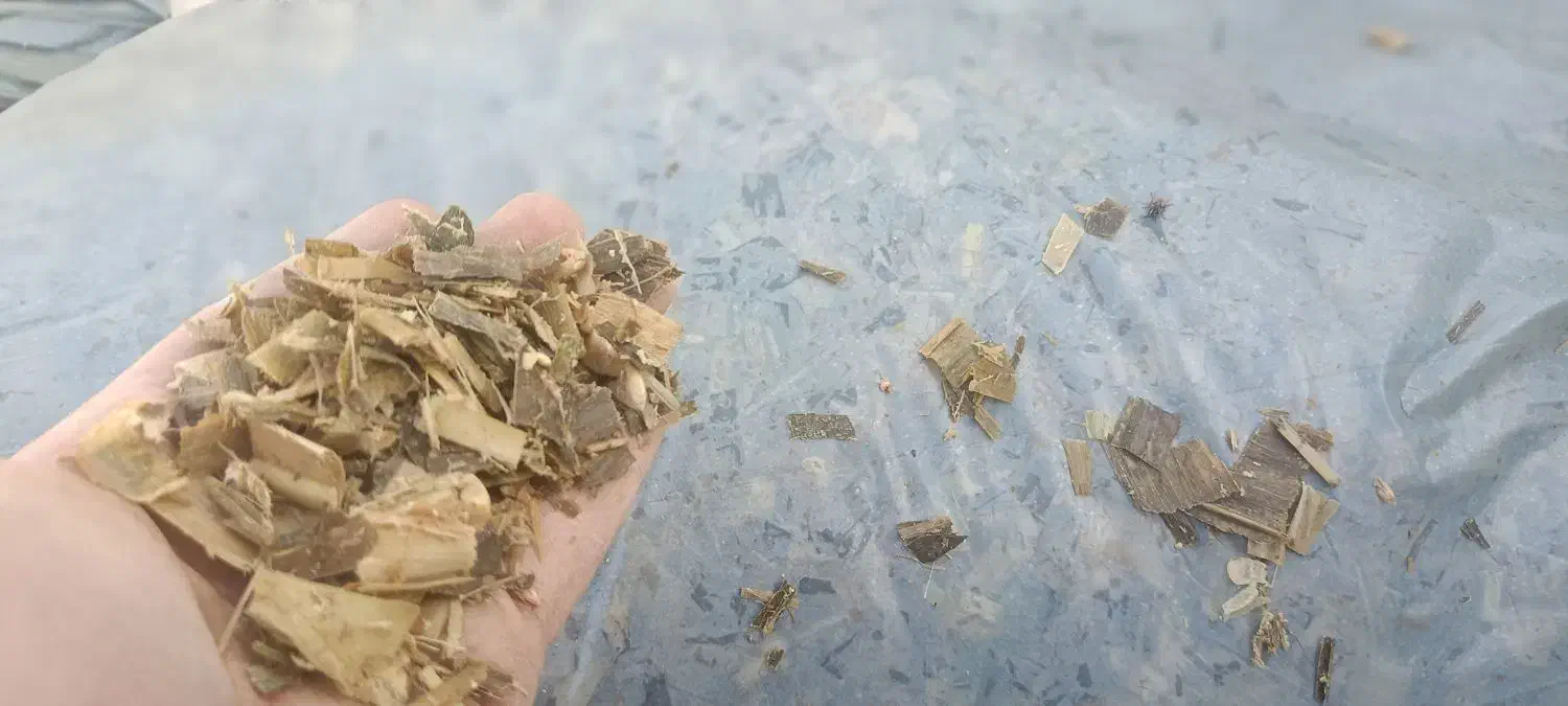 ذرت علوفه|عمدهفروشی|قم, قلعه کامکار|دیوار