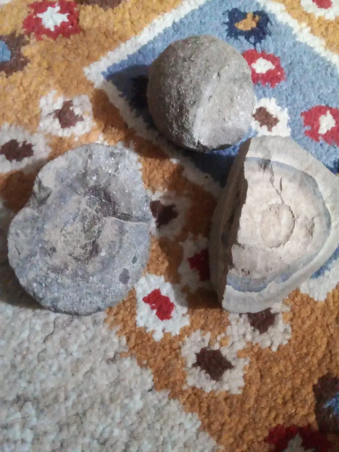 سنگ فسیل وغیره|بدلیجات|کرج, برغان|دیوار