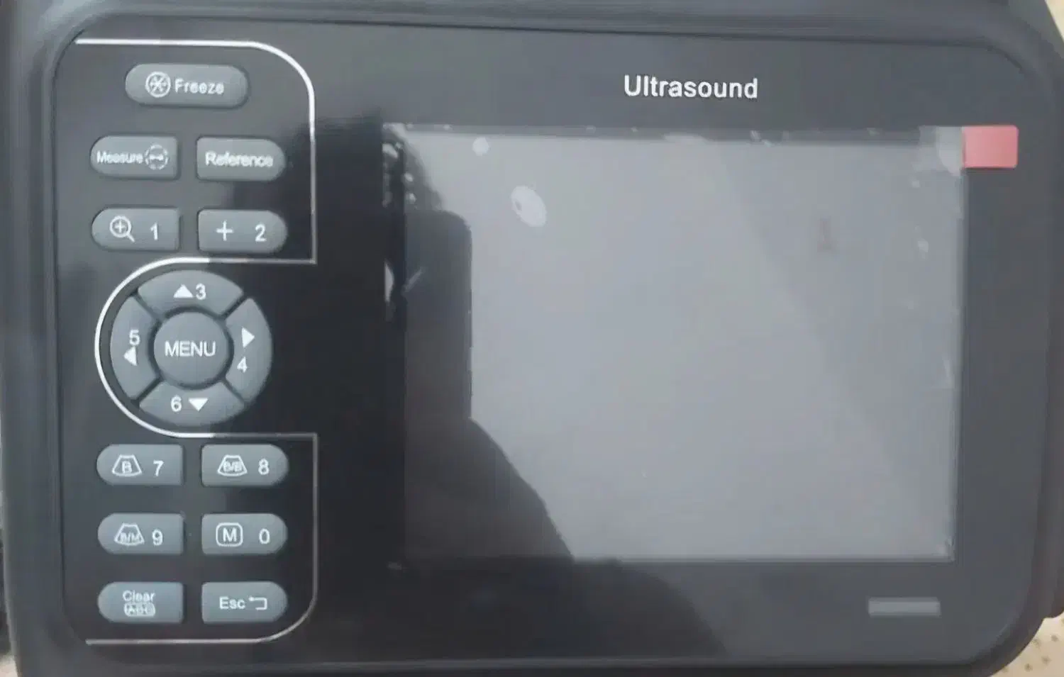 سونوگرافی دامپزشکی|پزشکی|یزد, |دیوار