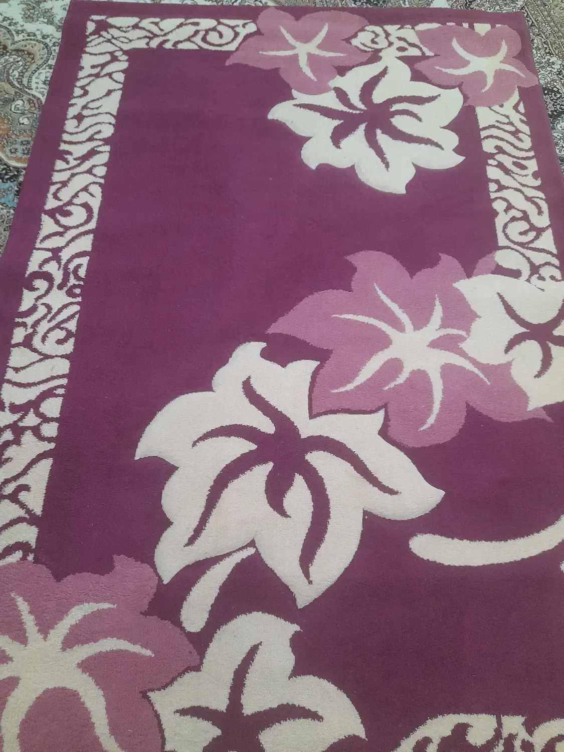 فرش|فرش|شهریار, شهرک امیریه|دیوار