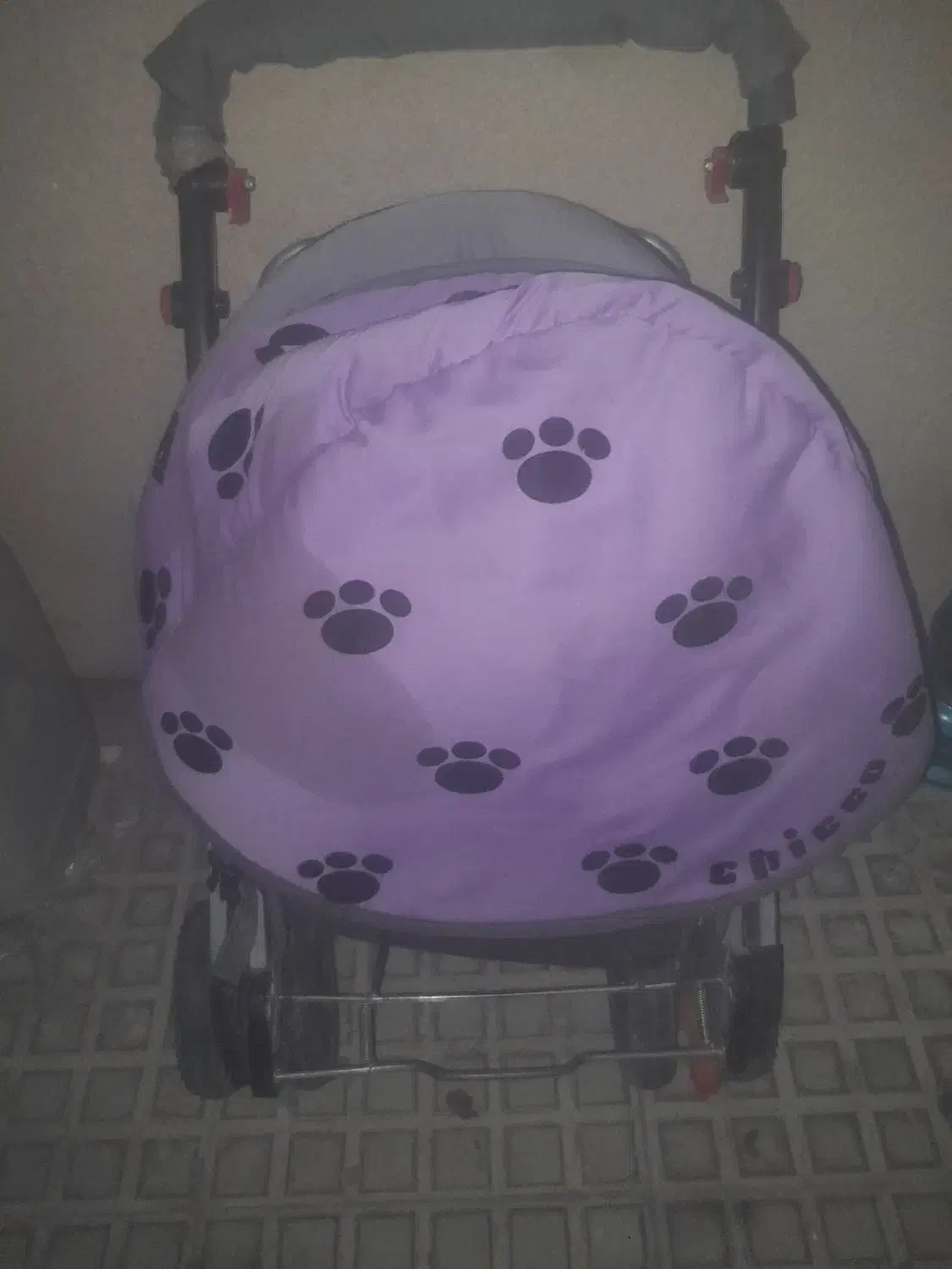 دو‌عدد‌کالسکه درحد|کالسکه و لوازم جانبی|ایوان, |دیوار