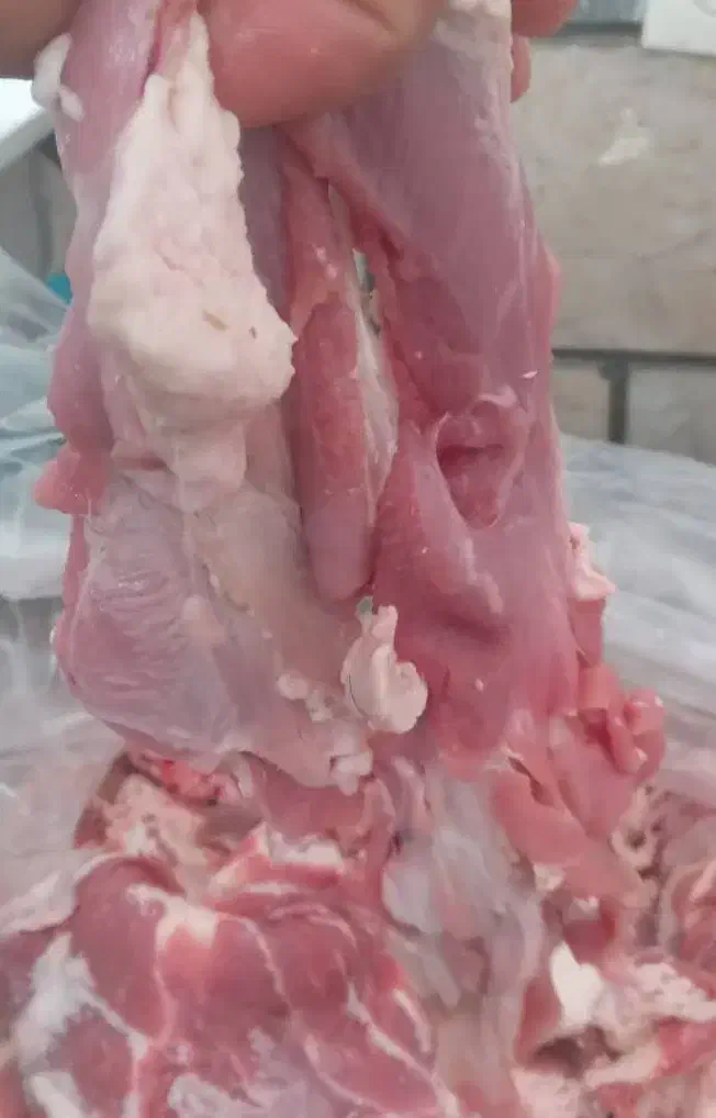 دنده گوسفندی|خوردنی و آشامیدنی|هشتگرد, شهرک وحدت|دیوار