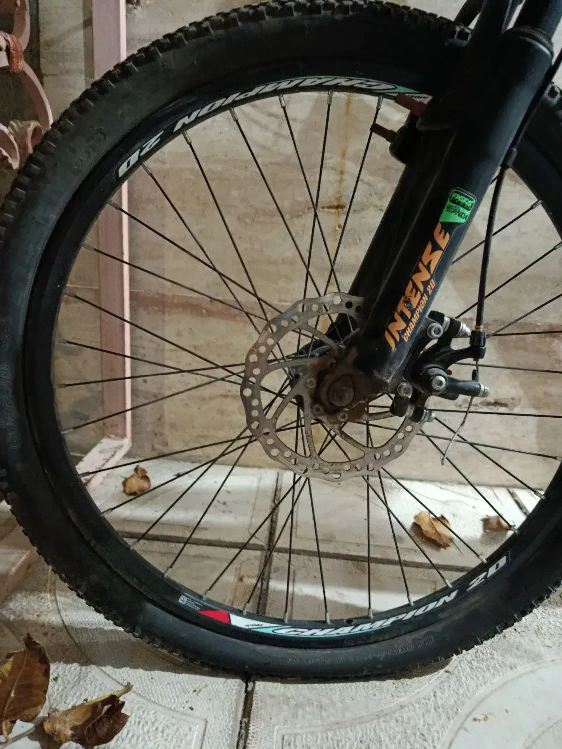 دوچرخه بزرگ کوهستانی|دوچرخه، اسکیت، اسکوتر|ایلخچی, |دیوار