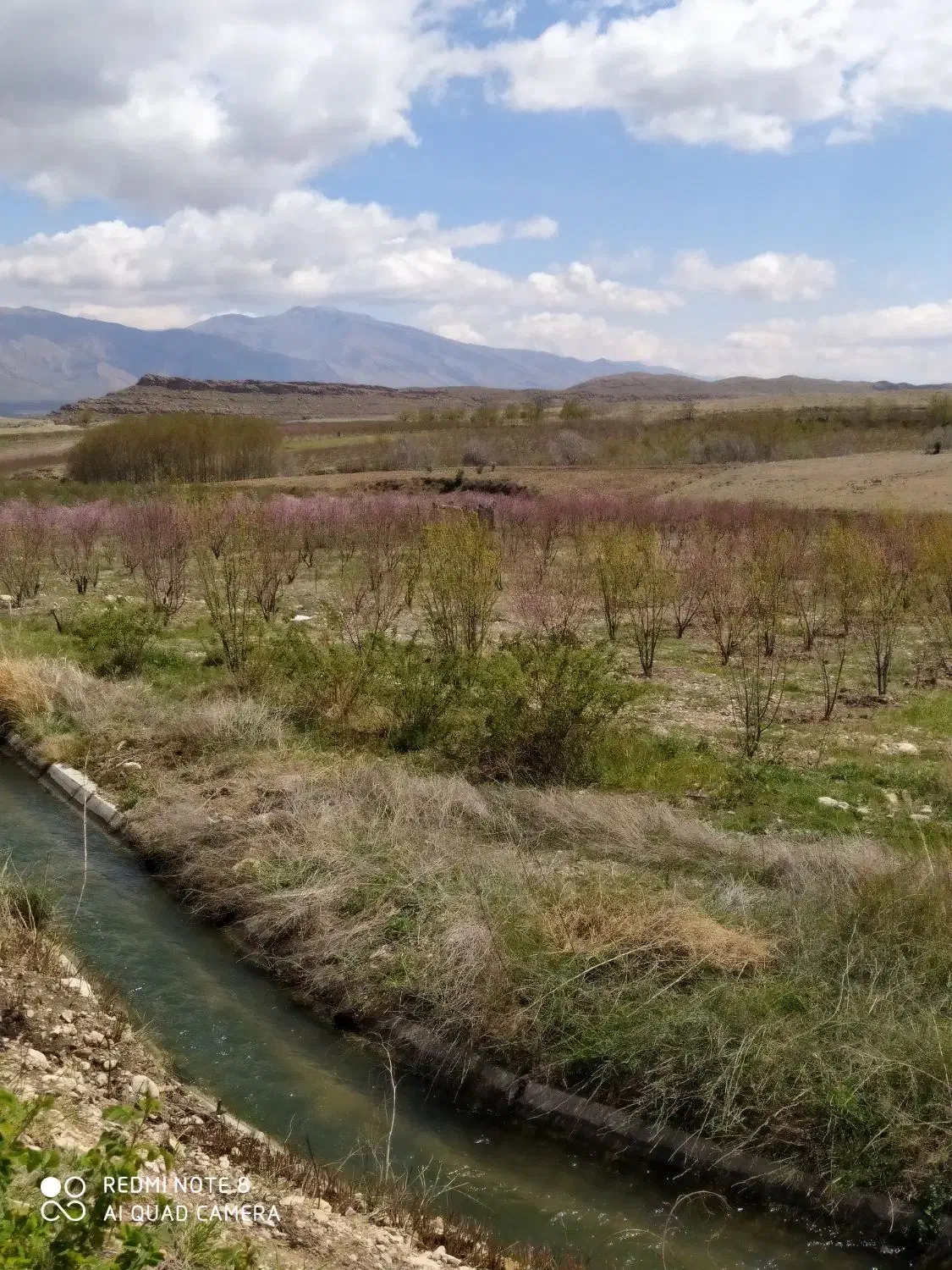 فروش زمین جهت احداث باغ|فروش دفتر صنعتی، کشاورزی، تجاری|کوار, |دیوار