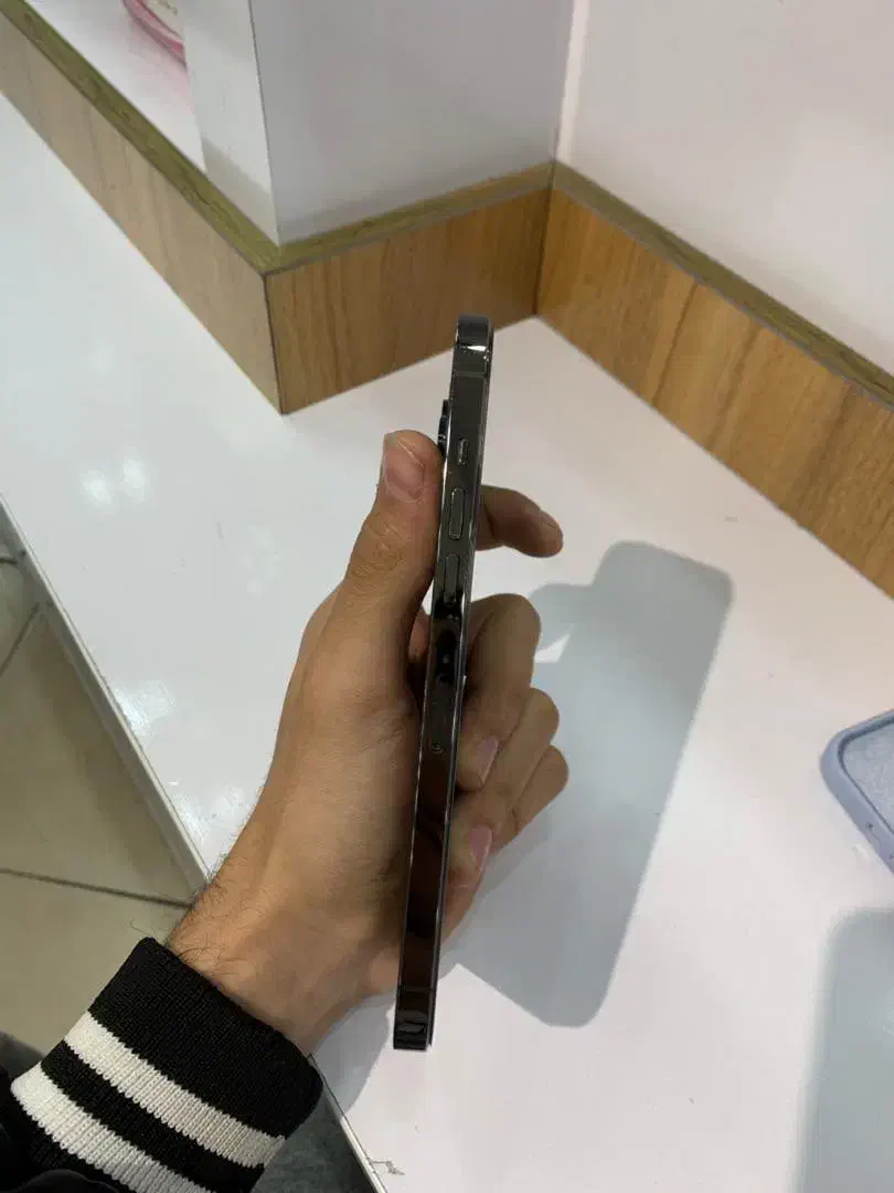 12 pro max|موبایل|پرند, فاز ۲|دیوار