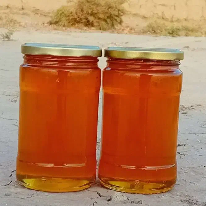 عسل صددر صد طبیعی|خوردنی و آشامیدنی|تهران, کوهک|دیوار