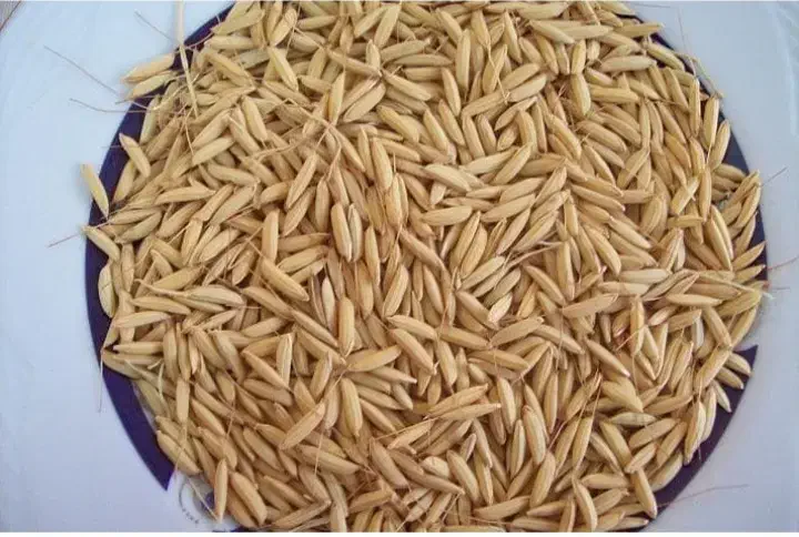 چلتوک برج لنجان|خوردنی و آشامیدنی|مبارکه, |دیوار