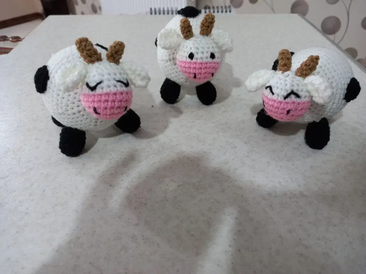 تم نشانه الفبا|لوازم التحریر|قم, شاه احمد قاسم|دیوار