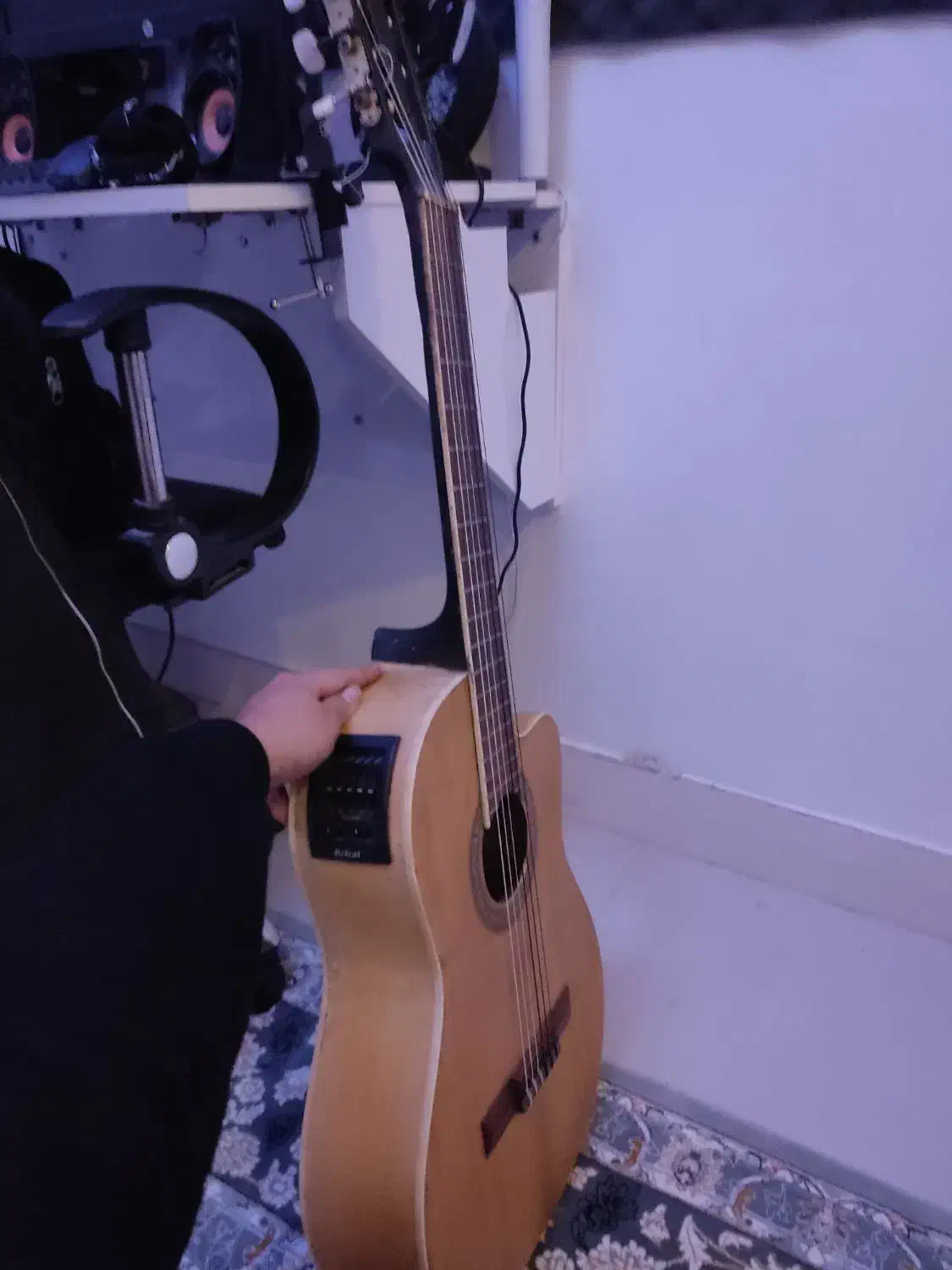 گیتار کلاسیک Hofner|گیتار، بیس، امپلیفایر|قائن, |دیوار