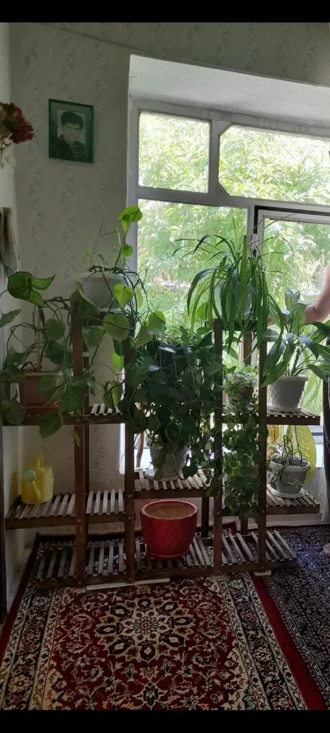 استند|کتابخانه، شلف، قفسه‌های دیواری|سنندج, |دیوار