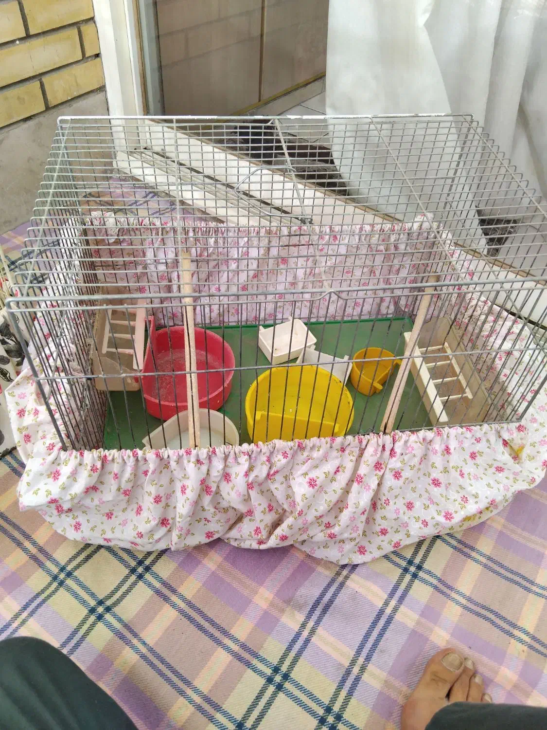 قفس جفت کن|لوازم جانبی حیوانات|اصفهان, سرتاوه|دیوار