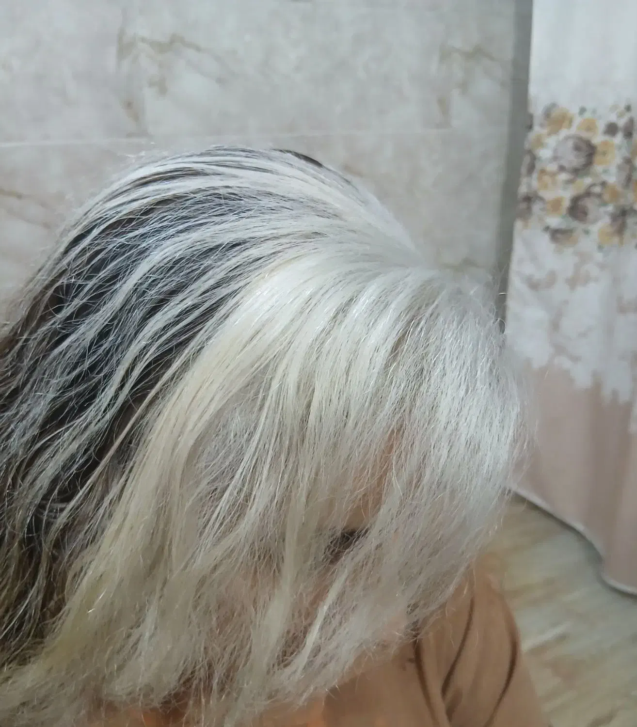 آموزش حضوری رنگ و لایت|خدمات آموزشی|زابل, |دیوار