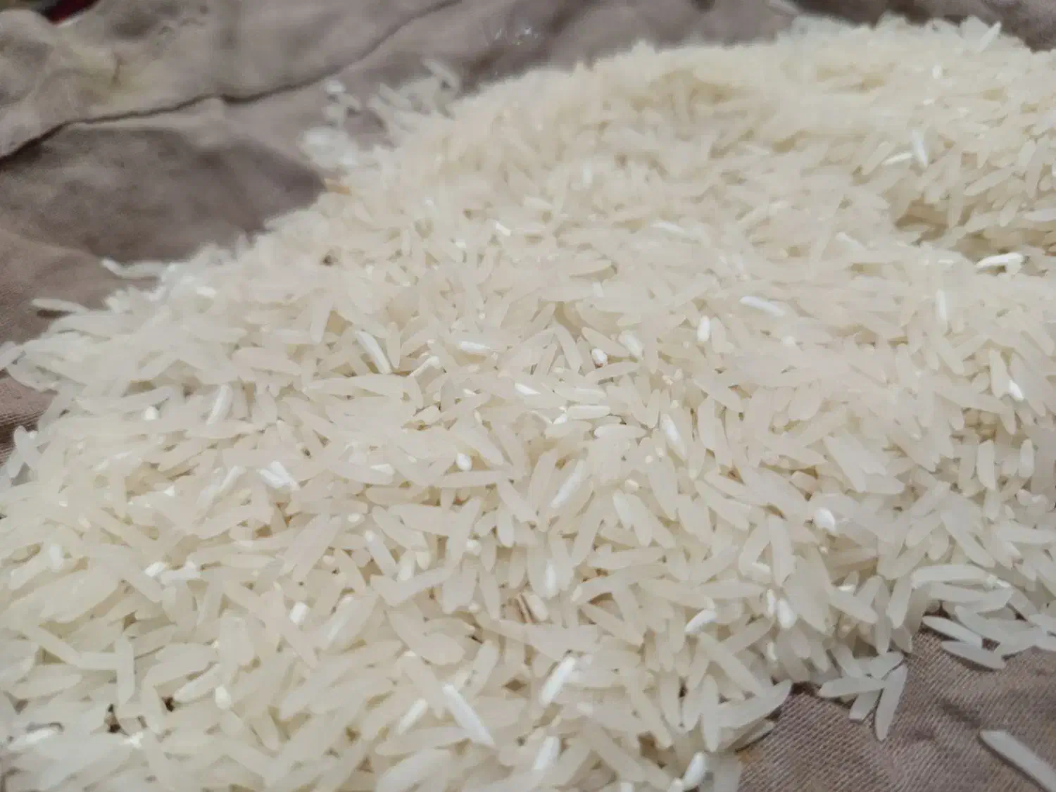 برنج فجر سوزنی نودروزه....|خوردنی و آشامیدنی|خان ببین, |دیوار