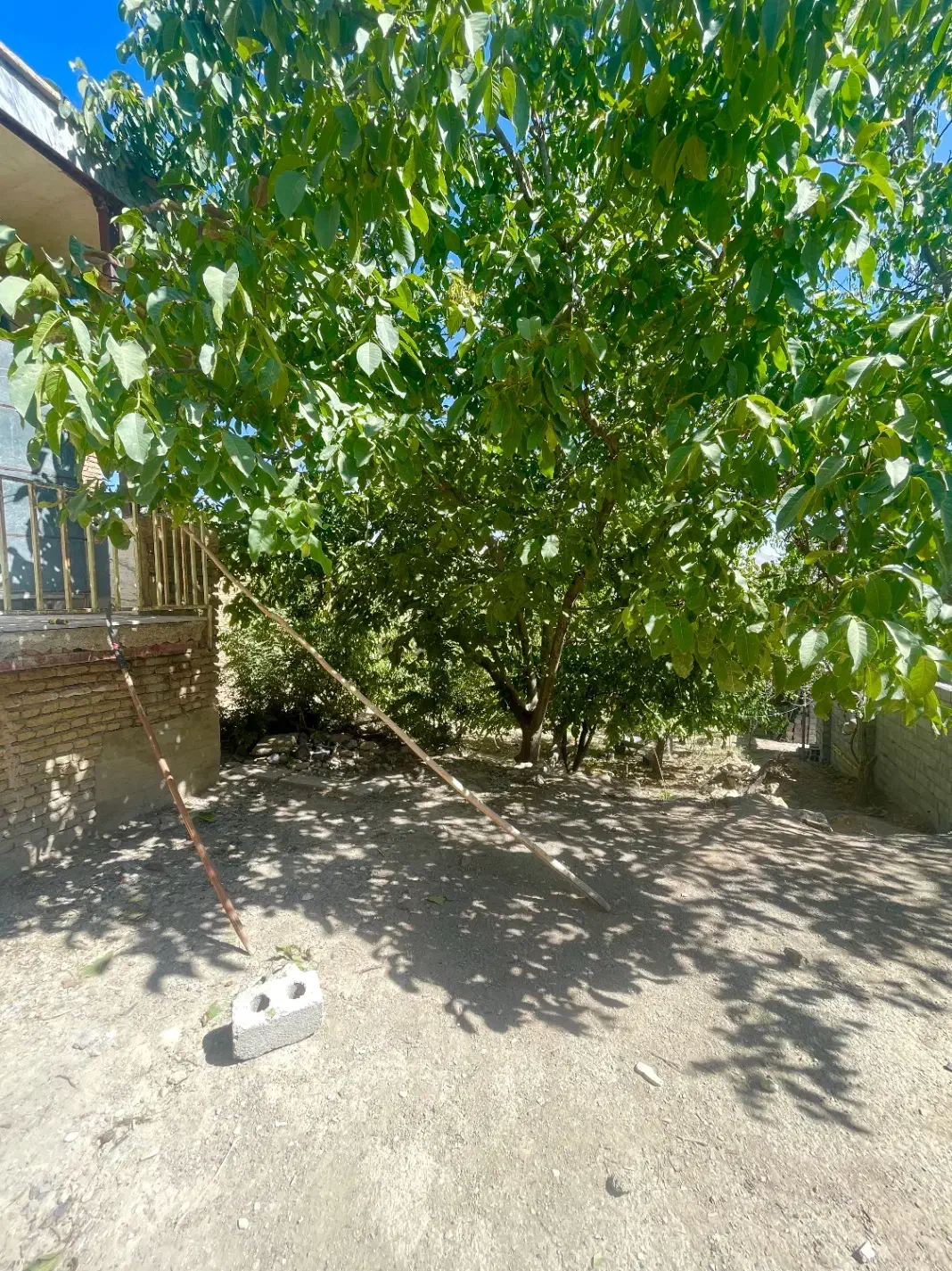 فروش خانه باغ|فروش زمین و ملک کلنگی|فارسان, |دیوار