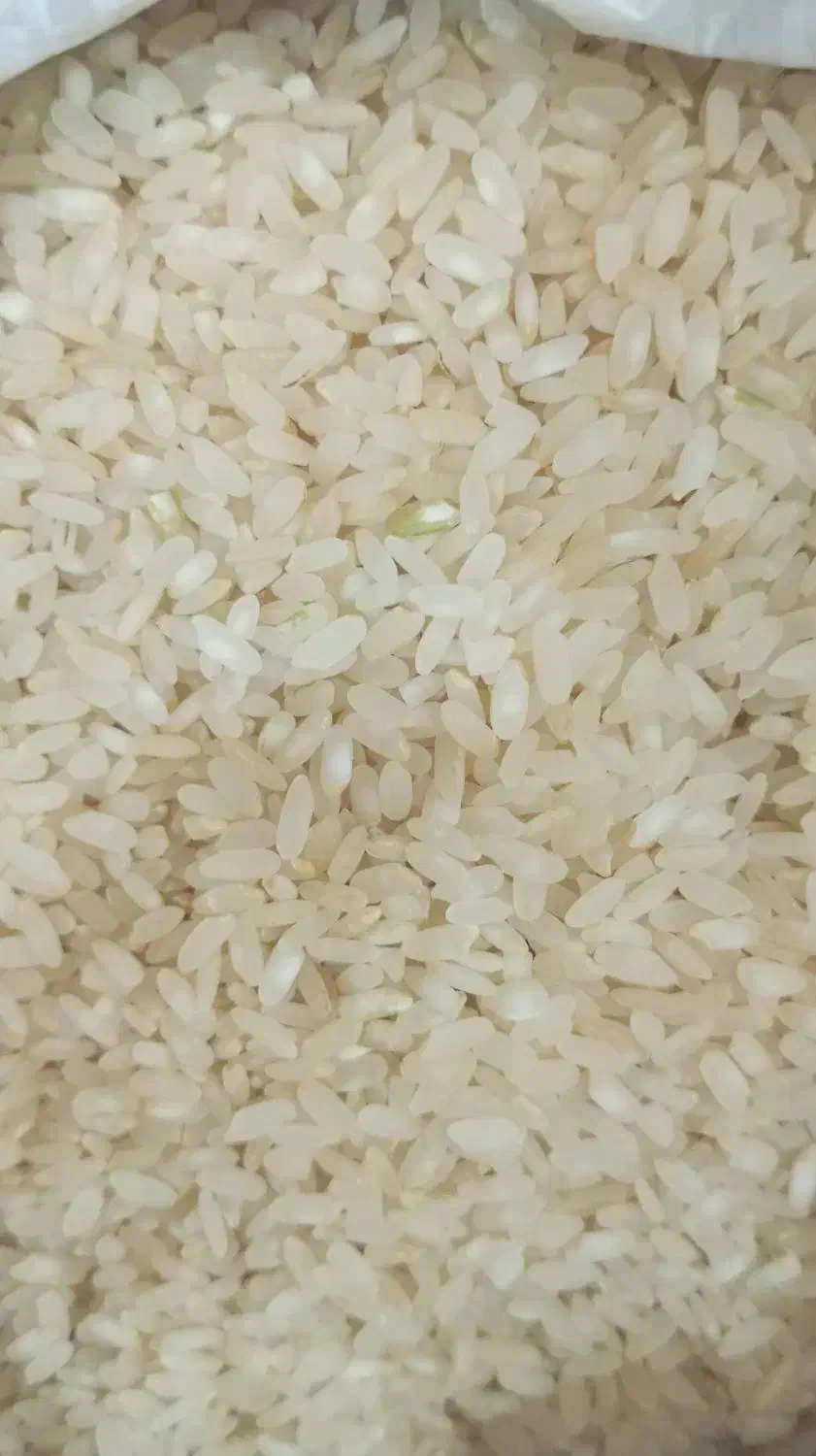 برنج کامفیروزی اصل|خوردنی و آشامیدنی|مرودشت, فرهنگ|دیوار