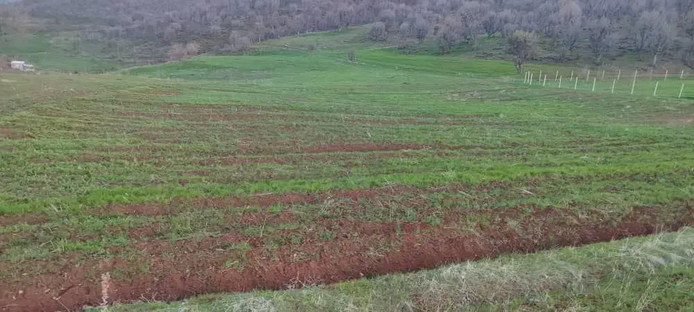 زمین خام سر جاده اصلی 3 طرف باز|فروش زمین و ملک کلنگی|آرمرده, |دیوار