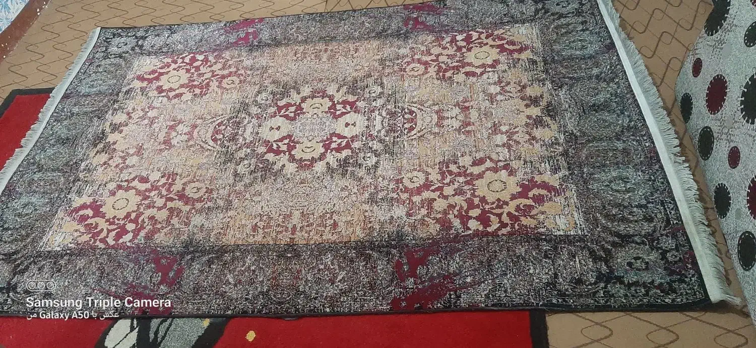 قالی ۴متری|فرش|مسجد سلیمان, |دیوار