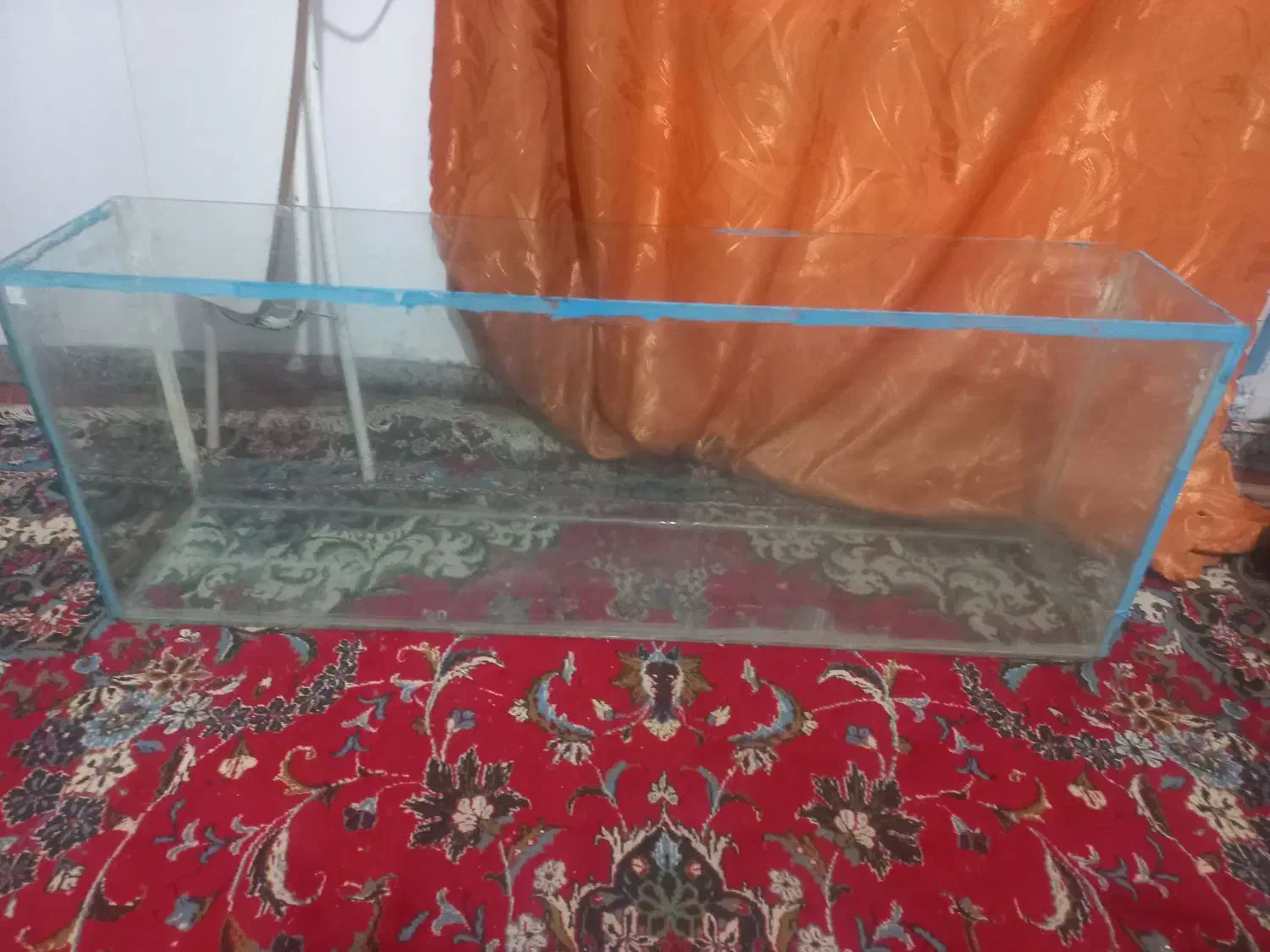 آکواریوم|ماهی|بجنورد, |دیوار