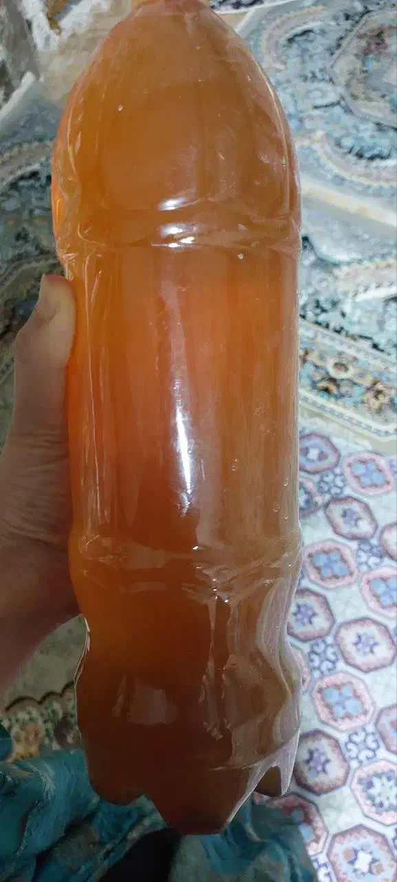 سرکه وشیره انگور|خوردنی و آشامیدنی|سبزوار, گلشن|دیوار