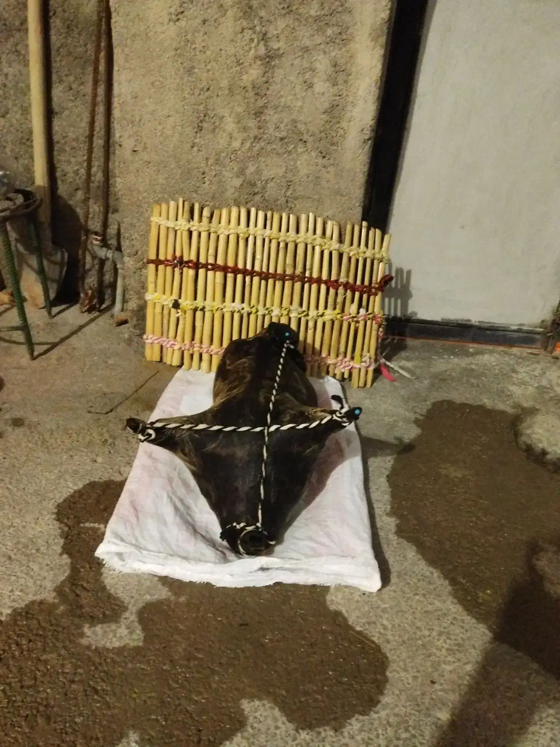 مشک آب|عمده‌فروشی|ملکشاهی, |دیوار