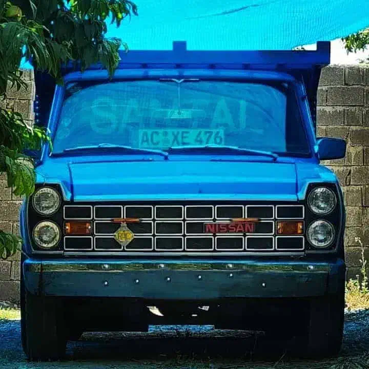 حمل بار با نیسان|خدمات حمل و نقل|اهر, |دیوار